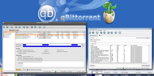 qBittorrent software interface on desktop screen